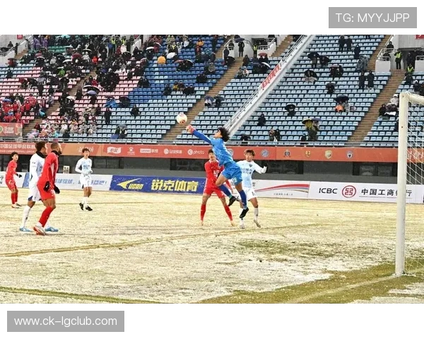 宠物足球队奇幻变形冒险开启全新热血竞技之旅在梦幻赛场勇闯巅峰之战 宠物足球队奇幻变形冒险开启全新热血竞技之旅在梦幻赛场勇闯巅峰之战